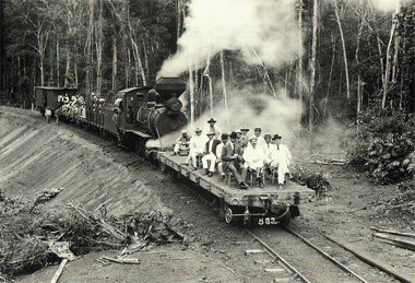 Trem - visitantes